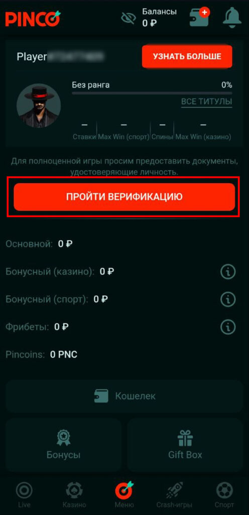 верификация Пинко